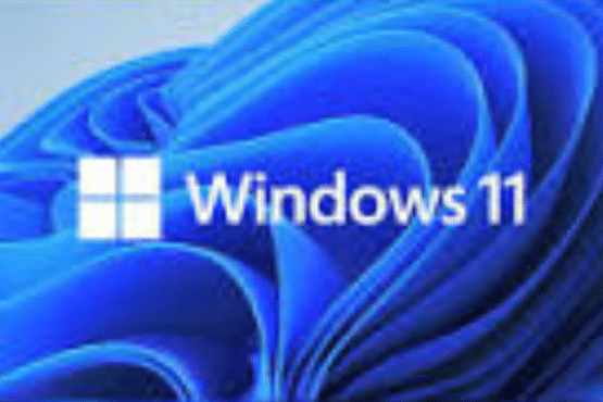 Window 11