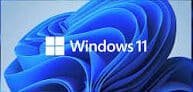 Window 11 image