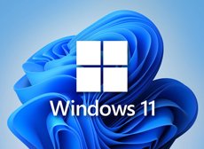 window 11