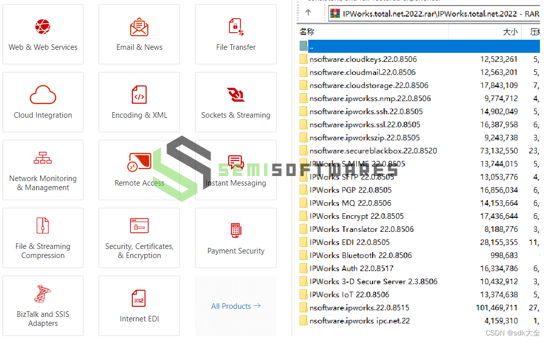 nSoftware Delphi – DotNet 1