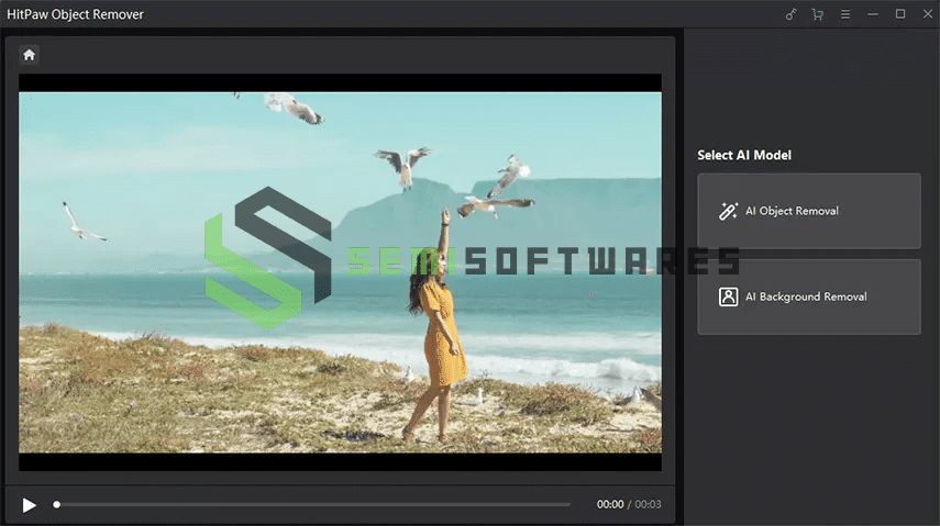 HitPaw Video Object Remover 02