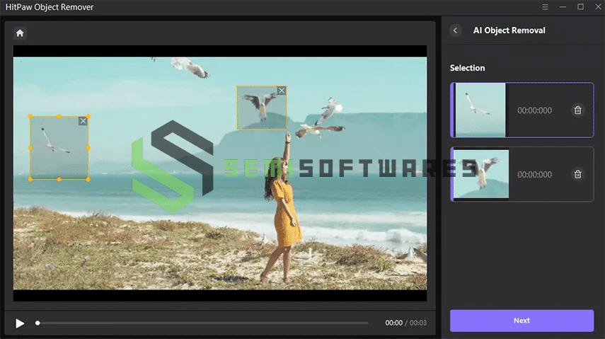 HitPaw Video Object Remover 03